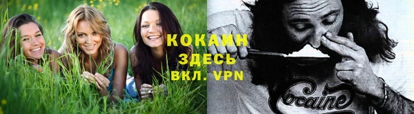 не бодяженный Аркадак
