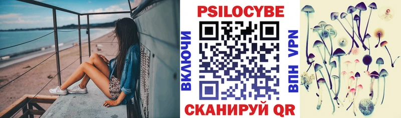Псилоцибиновые грибы прущие грибы  Бугульма 